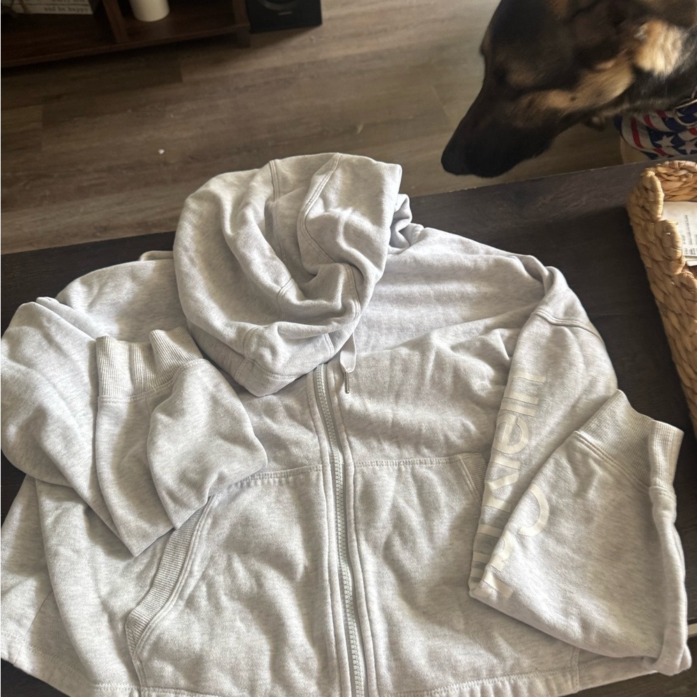 Calvin Klein Gray Women's Jacket